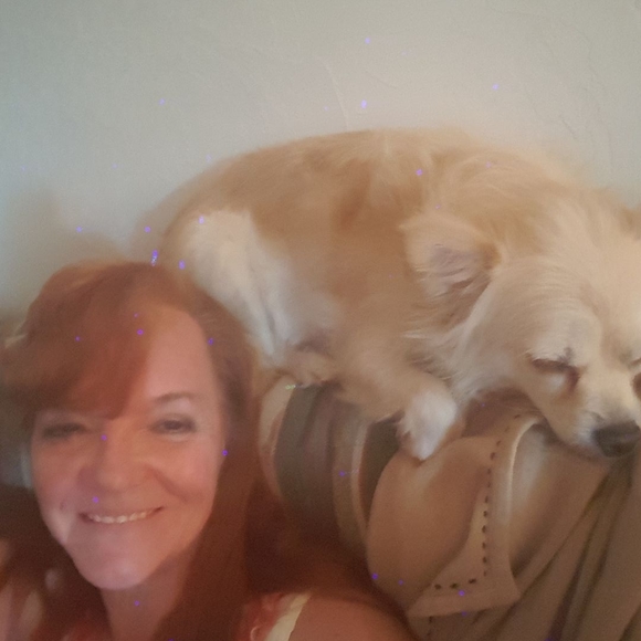 Profile Picture of Bonnie Reid (@5205076806) on Poshmark