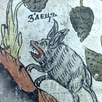 Profile Picture of Aleksandr Fedorov (@fedorov5432) on Twitter