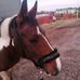 Profile Picture of Amber Pollock (@amber.pollock.9849) on Facebook
