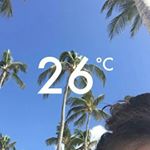 Profile Picture of toulouse (@paul.regnierr) on Instagram