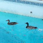 Profile Picture of John (@john_tassone) on Instagram