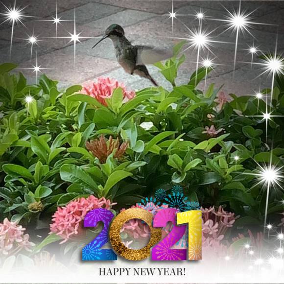 Profile Picture of Shelly Shields (@shel2123) on Poshmark