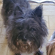 Profile Picture of John Wilt (@johnwilt9832) on Youtube