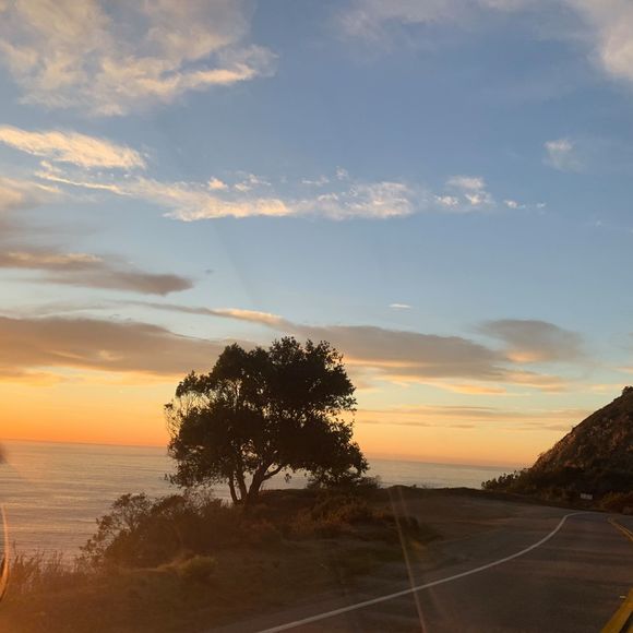 Profile Picture of Nicole Ferber (@nicole_ferber) on Poshmark