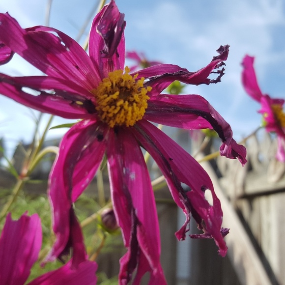 Profile Picture of Samantha Griswold (@samanthas41214) on Poshmark