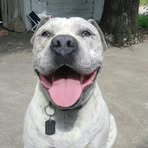 Profile Picture of Chris Laureles (@chris.laureles.2025) on Facebook