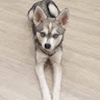 Dongmin Lee - Quora Profile Picture of Dongmin Lee (@dongmin-lee-36) on Quora