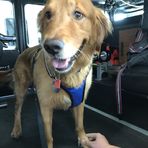 Profile Picture of Daniel Rhodes (@daniel.rhodes.501) on Facebook