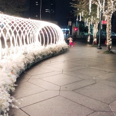 Profile Picture of Xiaoying Zheng (@zheng_xiaoying) on Twitter