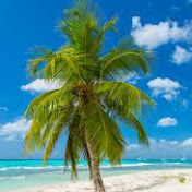 Profile Picture of Thomas Speer (@thomasspeer1388) on Youtube