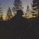 Profile Picture of Brandon Shippey (@brandon.shippey.7) on Instagram