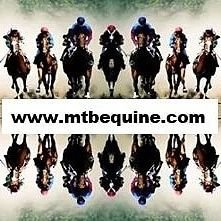 Profile Picture of Mark Barnett (@MarkB31970) on Twitter