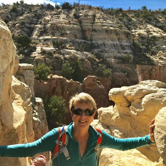 Profile Picture of Patti Bushee (@pjbushee) on Poshmark
