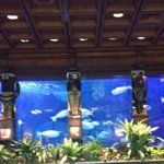 Profile Picture of Justin Swiney (@jswiney78) on Instagram