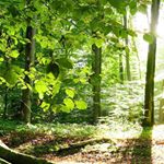 Profile Picture of reinaldo herrera (@herrreinaldo) on Instagram