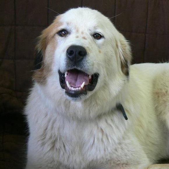 Profile Picture of Sequoia Smith (@sequoiasmith345) on Poshmark