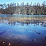 Profile Picture of Joshua Tobar Gutierrez (@joshuatobargutierrez) on Instagram