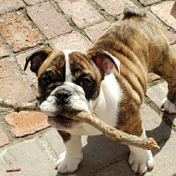 Profile Picture of Buxton Streetcreations (@buxtoncreations) on Poshmark