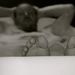 Profile Picture of Jacob Dahl Andersen (@jacobdahla) on Pinterest