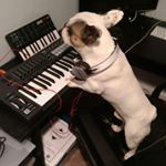 Profile Picture of Brian (@l0wlife_rabbit) on Instagram