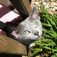 Shaun Stanley - Quora Profile Picture of Shaun Stanley (@shaun-stanley-7) on Quora