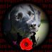 Profile Picture of Karl Hassall (@karl.hassall.14) on Facebook