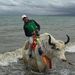 Profile Picture of David Xiaohan Chen (@davidxiaohan) on Pinterest