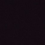 Profile Picture of Nicola sobol (@nicola_b.ckup) on Instagram