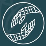 Profile Picture of Shelli Lucas Dellinger (@thehandguru) on Instagram