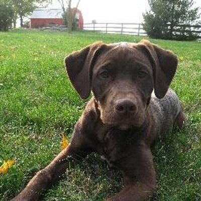 Profile Picture of Jason Gerlach (@jason_gerlach) on Twitter