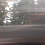 Profile Picture of Joey Moran (@futureforestsss) on Instagram