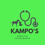 Profile Picture of M.V. Simón Campos (@kampos_serv.veterinario) on Instagram