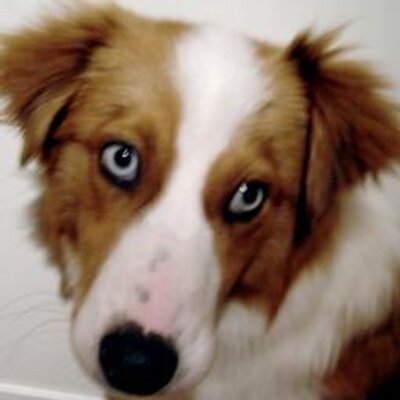 Profile Picture of F. Nathan Bear (@FNathanBear) on Twitter