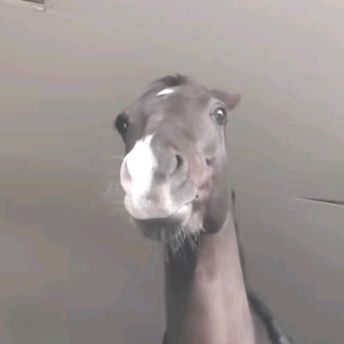 Profile Picture of Dixie Hall (@dixieh123) on Tiktok