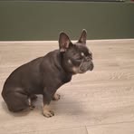 Profile Picture of Aaron Swinhoe (@Aaron-Swinhoe) on Facebook