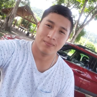 Profile Picture of Luis Fernando Lopez Soza (@LuisFer62856488) on Twitter