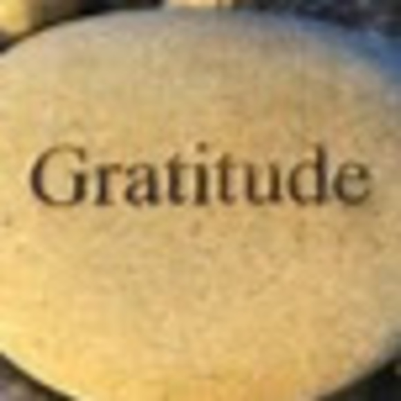 Profile Picture of Susan Harroun (@snoosaroun) on Poshmark