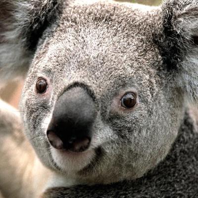 Profile Picture of William Varty (@w_varty) on Twitter