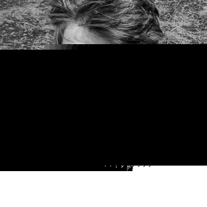 Profile Picture of Eric Boyd (@ericboyd) on Myspace