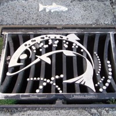 Profile Picture of Mike Pavey (@drainfish) on Twitter