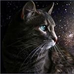 Profile Picture of Christopher Pickens (@pickens5576) on Instagram