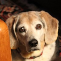 Profile Picture of Randy Atkins (@randy-atkins-3) on Quora