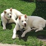 Profile Picture of Doris Evans (@dorisevans9865) on Instagram