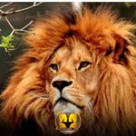 Profile Picture of ashok tripathi (@ashoktripathi1937) on Instagram