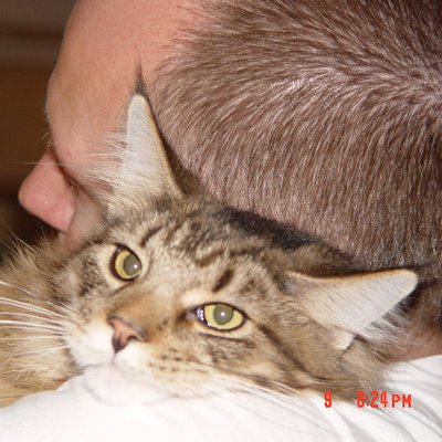 Profile Picture of Craig Swanson (@craigswanson) on Twitter