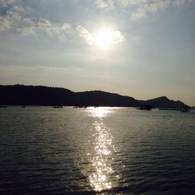 Profile Picture of Hứa Nguyên Thuỷ (@HaNguynThu1) on Twitter