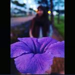 Profile Picture of Amelia soleha 266 (@amelia73975584) on Instagram