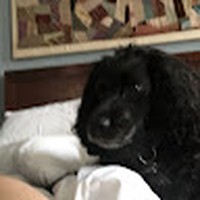 Profile Picture of Brice Knight (@brice-knight-1) on Quora