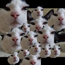 Profile Picture of Amber Wiggett (@bomb_wiggetty) on Twitter