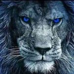 Profile Picture of Chris Hamblen (@chris.hamblen) on Instagram
